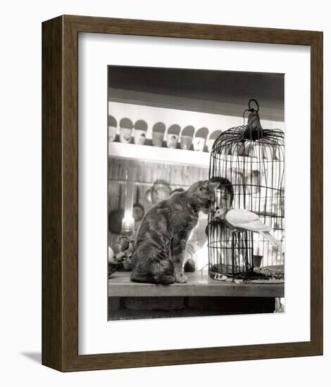 Child, Cat and Dove-Robert Doisneau-Framed Art Print