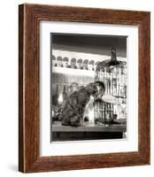 Child, Cat and Dove-Robert Doisneau-Framed Art Print