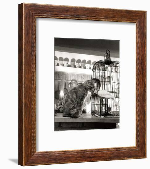 Child, Cat and Dove-Robert Doisneau-Framed Art Print