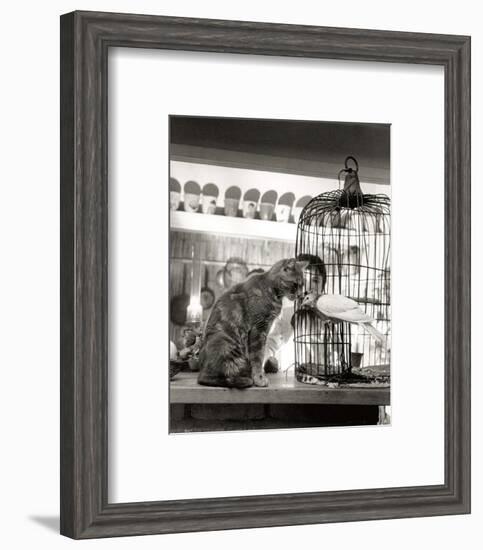 Child, Cat and Dove-Robert Doisneau-Framed Art Print