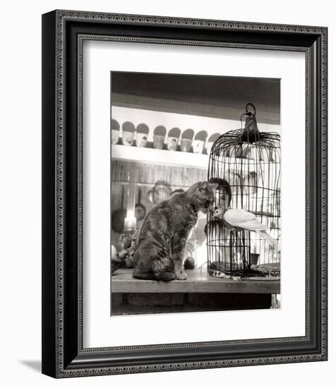 Child, Cat and Dove-Robert Doisneau-Framed Art Print