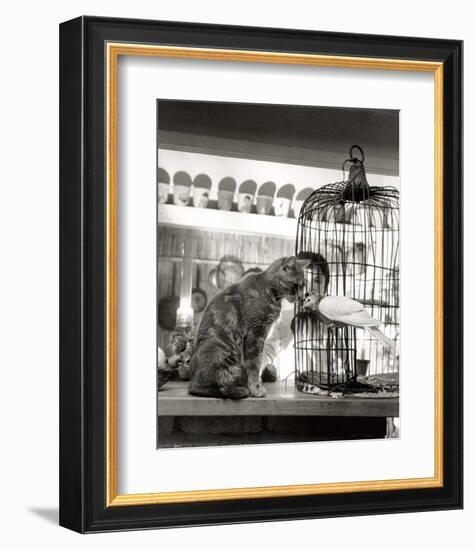 Child, Cat and Dove-Robert Doisneau-Framed Art Print