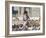 Child Chasing the Famous White Pigeons, Mazar-I-Sharif, Afghanistan-Jane Sweeney-Framed Photographic Print