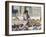 Child Chasing the Famous White Pigeons, Mazar-I-Sharif, Afghanistan-Jane Sweeney-Framed Photographic Print