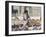 Child Chasing the Famous White Pigeons, Mazar-I-Sharif, Afghanistan-Jane Sweeney-Framed Photographic Print