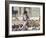 Child Chasing the Famous White Pigeons, Mazar-I-Sharif, Afghanistan-Jane Sweeney-Framed Photographic Print