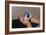 Child Holding Toys-William P. Gottlieb-Framed Photographic Print