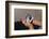 Child Holding Toys-William P. Gottlieb-Framed Photographic Print