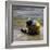 Child in the Rain-Nicole Katano-Framed Photo