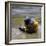 Child in the Rain-Nicole Katano-Framed Photo