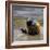 Child in the Rain-Nicole Katano-Framed Photo