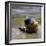 Child in the Rain-Nicole Katano-Framed Photo