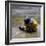 Child in the Rain-Nicole Katano-Framed Photo