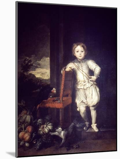 Child in White Dress-Sir Anthony Van Dyck-Mounted Giclee Print