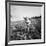 Child of Black Tenant Farmer Family Using Hoe While Working in Cotton Field-Dorothea Lange-Framed Premium Photographic Print