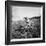 Child of Black Tenant Farmer Family Using Hoe While Working in Cotton Field-Dorothea Lange-Framed Premium Photographic Print