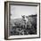 Child of Black Tenant Farmer Family Using Hoe While Working in Cotton Field-Dorothea Lange-Framed Photographic Print