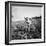 Child of Black Tenant Farmer Family Using Hoe While Working in Cotton Field-Dorothea Lange-Framed Photographic Print