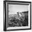 Child of Black Tenant Farmer Family Using Hoe While Working in Cotton Field-Dorothea Lange-Framed Photographic Print