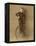 Child on a Unicycle, Late 19th Century-G. & R. Lavis-Framed Premier Image Canvas