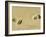 Child's Footprints on Beach at Santa Maria, Sal (Salt), Cape Verde Islands, Africa-Robert Harding-Framed Photographic Print