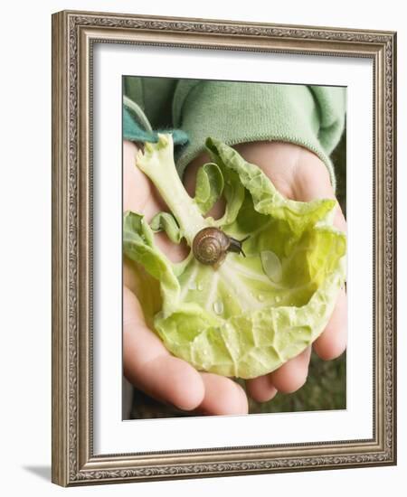 Child's Hands Holding Cabbage Leaf with Snail-null-Framed Photographic Print