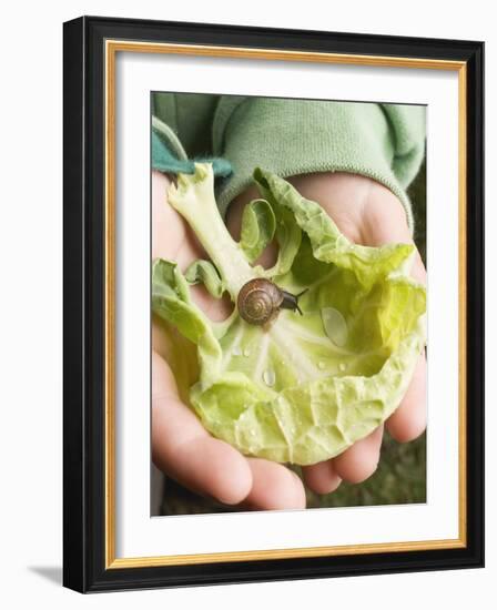 Child's Hands Holding Cabbage Leaf with Snail-null-Framed Photographic Print