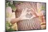 Child's Hands Making a Heart Shape on a Tree Trunk. Instagram Effect-soupstock-Mounted Photographic Print