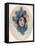 'Child's Head', c1902, (c1932)-Mary Cassatt-Framed Premier Image Canvas