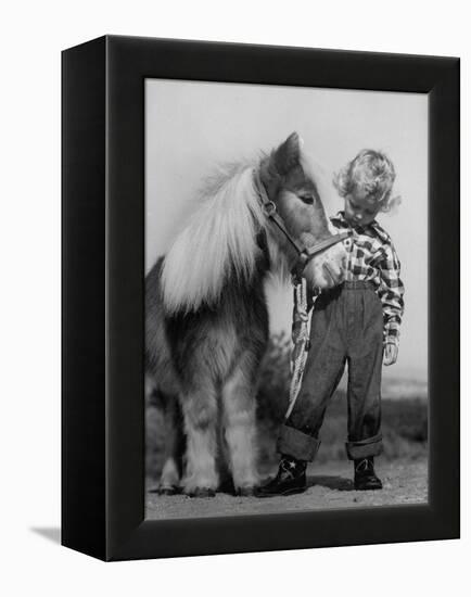 Child Standing Beside a Miniature Horse, Showing Size Comparison-Ed Clark-Framed Premier Image Canvas