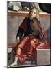 Child with Violin-Vittore Carpaccio-Mounted Giclee Print