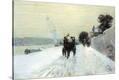 Stretched Canvas Print