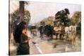 Stretched Canvas Print