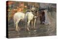 Stretched Canvas Print