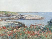 Poppies, Isles of Shoals, America, 1891-Childe Hassam-Art Print