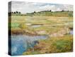Stretched Canvas Print