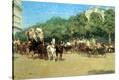 Stretched Canvas Print
