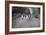 Children (3-12 Years) Running Dirt Road. 1925-null-Framed Photographic Print