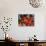 Children Attend a Function by Indian Spiritual Leader Sathya Sai Baba in New Delhi-null-Photographic Print displayed on a wall