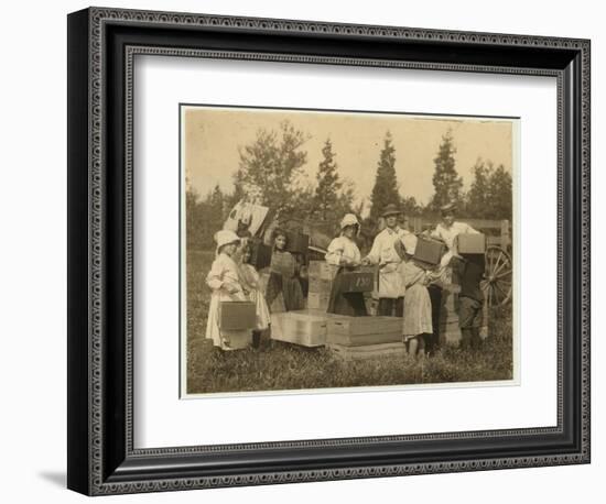 Children Carrying their Pecks of Cranberries to the Bushel Man at Theodore Budd's Bog-Lewis Wickes Hine-Framed Photographic Print