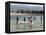 Children Enjoy a Boat Race in a Lagoon at Qalansiah, an Important Fishing Village in the Northwest-Nigel Pavitt-Framed Premier Image Canvas