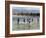 Children Enjoy a Boat Race in a Lagoon at Qalansiah, an Important Fishing Village in the Northwest-Nigel Pavitt-Framed Photographic Print