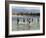 Children Enjoy a Boat Race in a Lagoon at Qalansiah, an Important Fishing Village in the Northwest-Nigel Pavitt-Framed Photographic Print
