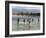 Children Enjoy a Boat Race in a Lagoon at Qalansiah, an Important Fishing Village in the Northwest-Nigel Pavitt-Framed Photographic Print