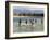 Children Enjoy a Boat Race in a Lagoon at Qalansiah, an Important Fishing Village in the Northwest-Nigel Pavitt-Framed Photographic Print