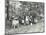 Children Feeding Bees for the Winter, Shrewsbury House Open Air School, London, 1909-null-Mounted Photographic Print