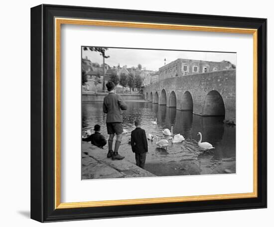 Children Feeding Swans at Bradford on Avon, October 1943-null-Framed Photographic Print