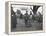 Children Holding Hands at White House Easter Egg Roll-Frances Benjamin Johnston-Framed Premier Image Canvas