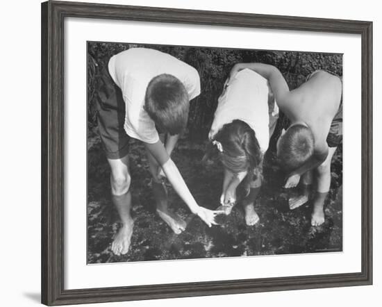 Children Hunting For Shells and Small Animals During Ebb Tide at the Beach-Bernard Hoffman-Framed Photographic Print