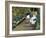 Children in a Garden (The Nurse)-Mary Cassatt-Framed Giclee Print